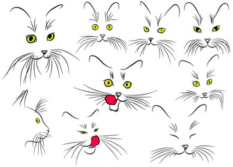 Set of cat muzzle with long whiskers isolated on the white background. Vector illustration.