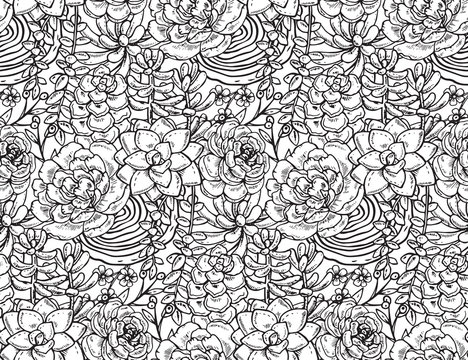 Vector seamless pattern with hand drawn succulent plants.