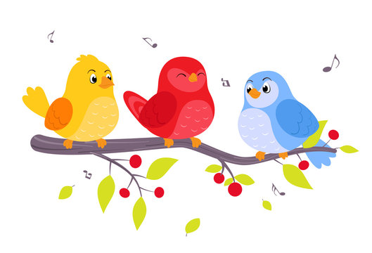 Colorful birds sitting on branch