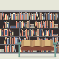 Reading Seat In Front Of A Bookcase.