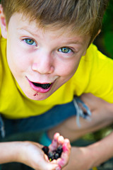 Boy eating blue berries. Mulberry