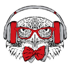 A bird in the headphones and sunglasses. Vector illustration for greeting card, poster, or print on clothes.