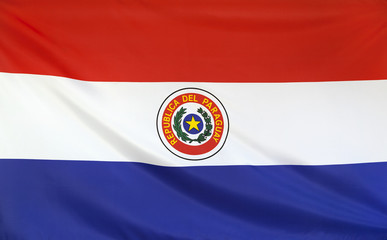 Paraguay Flag real fabric seamless close up