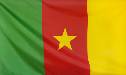 Obraz premium Cameroon Flag real fabric seamless close up