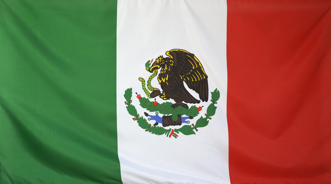  Mexico Flag real fabric seamless close up