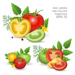 Set of red, green and yellow fresh realistic tomatoes composition with leaves, blossom and dill