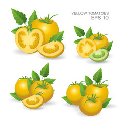 Set of yellow fresh realistic tomatoes composition with leaves