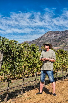 Weinbauer in S&uuml;dafrika