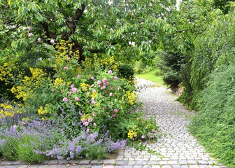 Gepflasterter Weg mit Kirschbaum und Blumen im Sommer