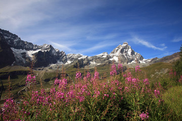 Valle d'Aosta,il Cervino.
