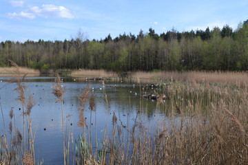 Jaworzno, zalew Łęg