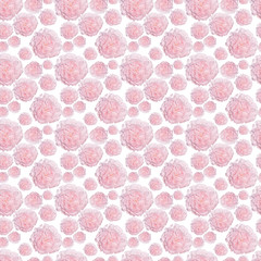  pattern of pale pink peonies luxury fresh