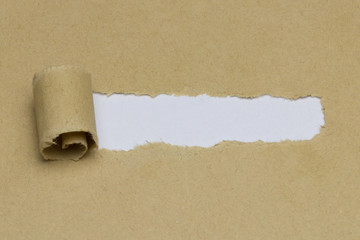 Papier aufgerissen mit Textfreiraum