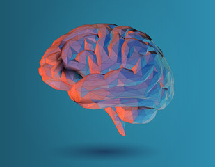 Low poly 3D brain illustration on blue background