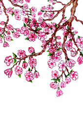 Sakura Branch Painting