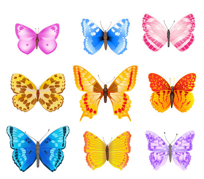 set of various colorful butterflies