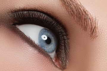 Macro shot of woman's beautiful eye with extremely long eyelashe