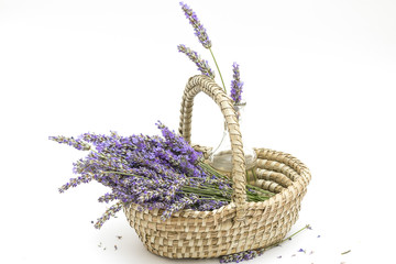 Fototapeta na wymiar isolated lavender (lavender in a basket) lavender close up