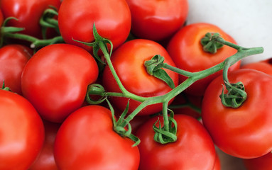Tomatoes on a branch