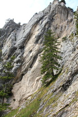 Klettern am Tegelberg