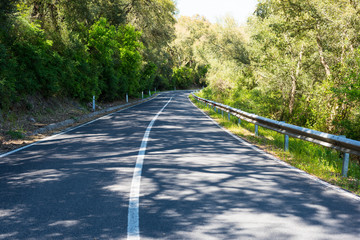 shadows on a country road