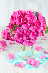 hydrangea flower in vase on wooden surface
