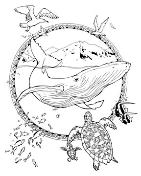 coloring page about whale and turtles and seagulls