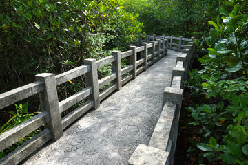 Natural mangrove walkway. Thailand travel.
