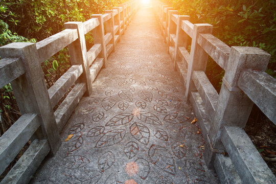 Fototapeta Natural mangrove walkway. Thailand travel.