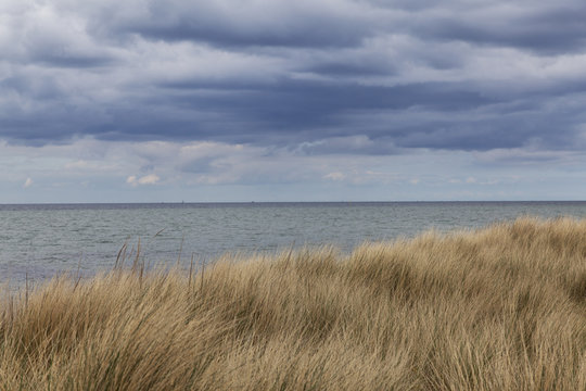 D&uuml;nenlandschaft an der Ostsee in Schleswig-Holstein, Deutschland