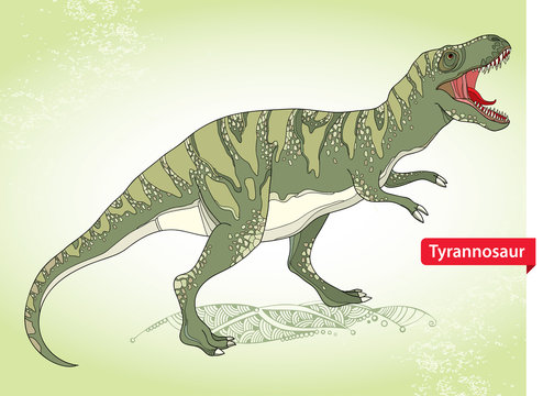 Vector illustration of Tyrannosaurus or tyrant lizard or Tyrannosaurus rex on the green background. Series of prehistoric dinosaurs. Fossil animals and reptiles in linear or contour style.