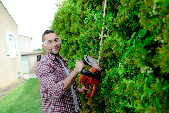 handsome young man gardener trimming and lanscaping green bushes