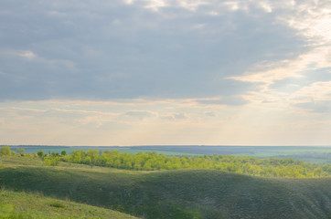 Obraz premium Light rays filling up the sky in an orange summer field
