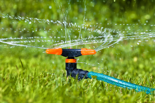 Garden Sprinkler Spraying Water Over Grass