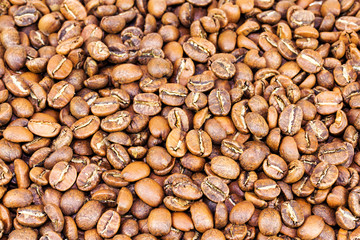 coffee beans background