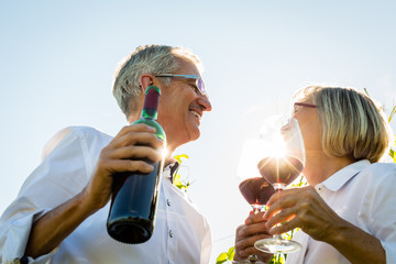 Senioren Paar stößt mit Wein an im Sommer Gegenlicht, Mann und Frau prosten sich zu - obrazy, fototapety, plakaty