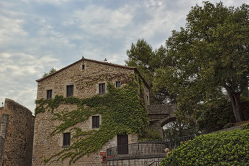 Fototapeta na wymiar In the historic center of Girona. Old house, twined with green l