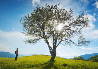 Man under the big lonely tree