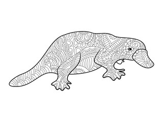 Platypus coloring book for adults vector