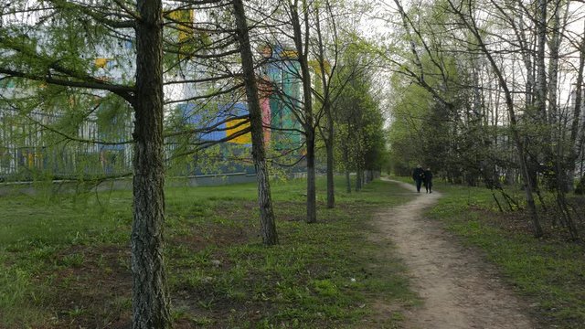 Man and Woman Walking on a Path Surrounded Green Trees