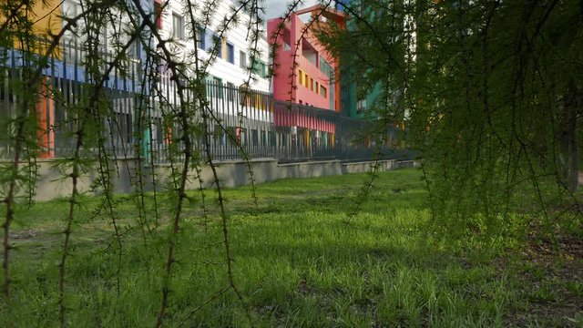 View at Colored Building Through a Green Tree Branches