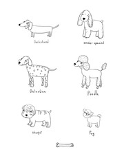 cute cartoon dogs of various breeds