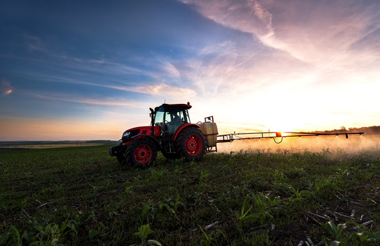 Tractor spraying a field on farm in spring, agriculture