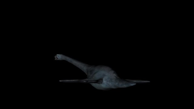 Animation of dinosaur Elasmosaurus gyrating 360 degree on black background