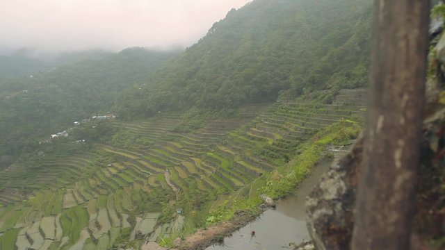 Breathtaking top view of rice terraces and mountains during sunrise  in Batad Village, Ifugao, Philippines. Handheld shot.