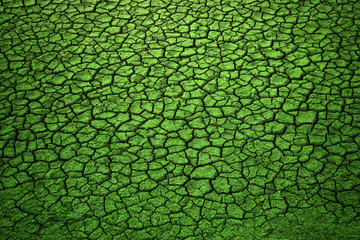 Dry cracked land with green grass texture background. Abstract global warming concept background.