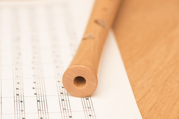 Wooden recorder and notes