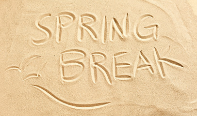 Fototapeta na wymiar Spring Break and seagulls drawn in beach sand