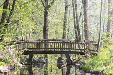 Bridge crossing creek. Nature in spring. Trees with fresh leaves and blue sky. Vibrant colorful nature background. Concept of springtime, beauty in nature and hiking.