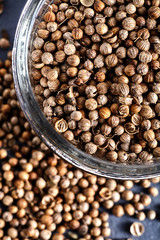 Spicy jar of dried coriander seeds Coriandrum sativum.